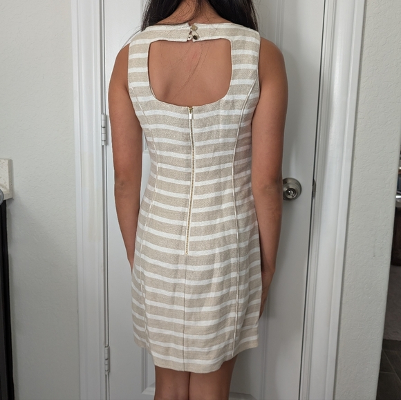 Banana Republic Neutral Stripe Linen Blend Sleeveless Summer Sheath Dress - Picture 5 of 10